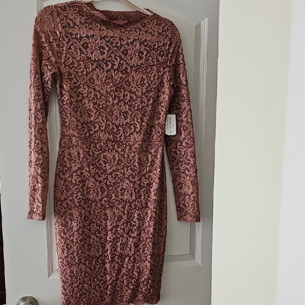 Windsor Lace Long Sleeve Dress in Mauve